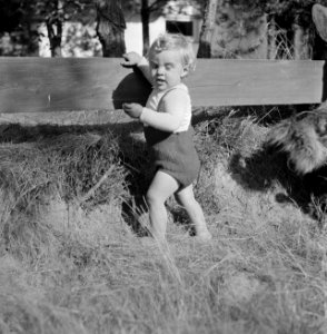 Boudewijn houdt zich vast aan een hek, Bestanddeelnr 191-1144 photo