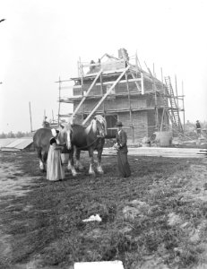 Boerin Visser uit Sonburg in Noordoostpolder met paarden, Bestanddeelnr 903-6329