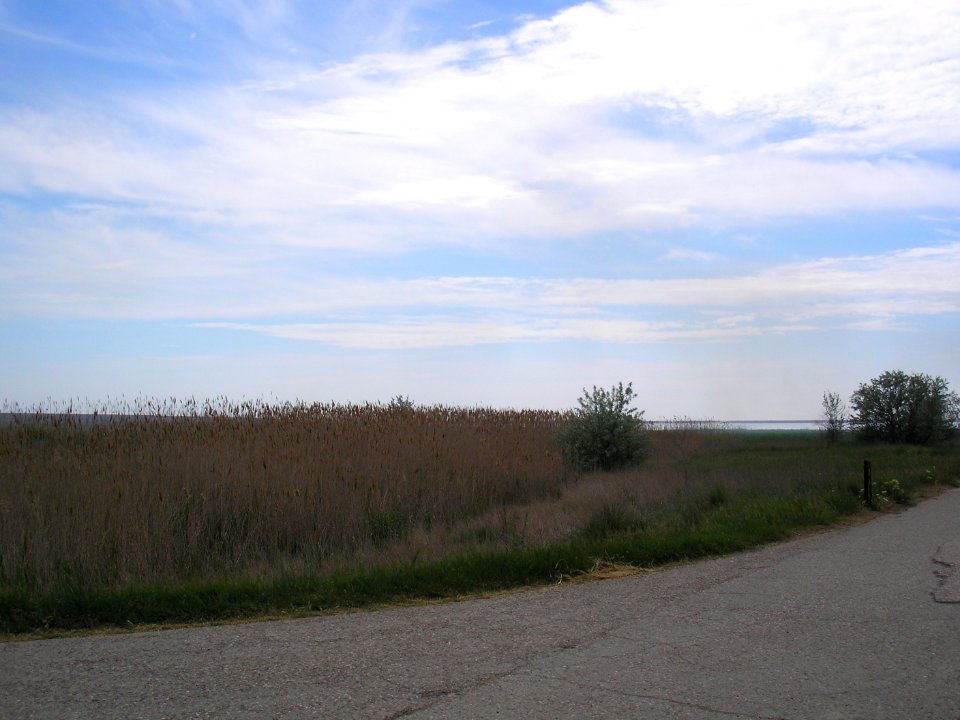 Bogayli lake 12