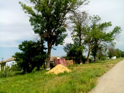 BogatyrKras 8