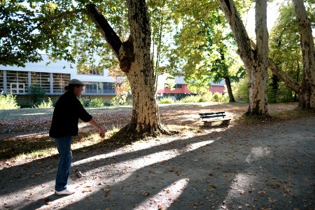 Boule-auf-platanenallee