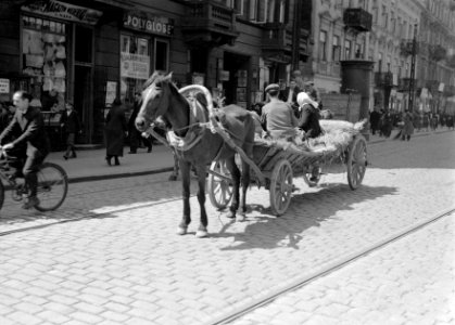 Boerenwagen in de straten van de oude volkswijk, Bestanddeelnr 190-0057