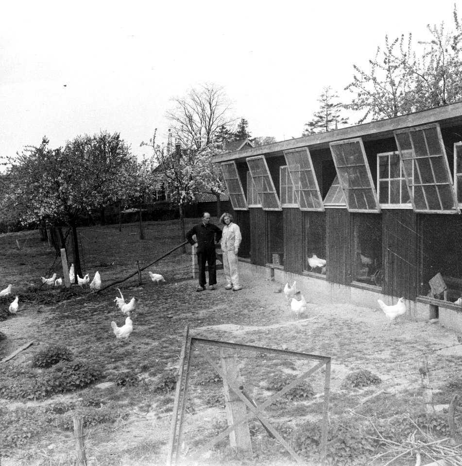 Boer en jonge vrouw bij het kippenhok, Bestanddeelnr 254-3495