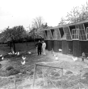 Boer en jonge vrouw bij het kippenhok, Bestanddeelnr 254-3495