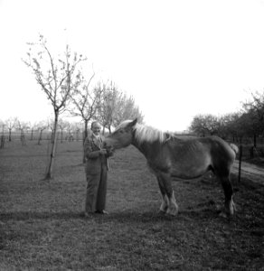 Boer met paard, Bestanddeelnr 252-1961