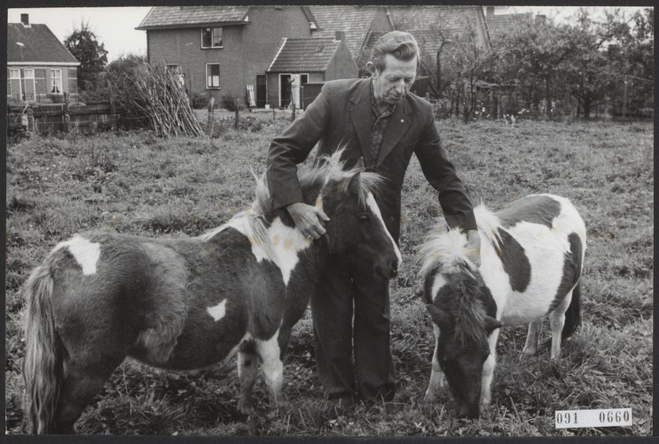 Boer Koekoek wacht rustig thuis in Bennekom de ontwikkelingen af in zijn partij , Bestanddeelnr 091-0660