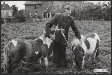 Boer Koekoek wacht rustig thuis in Bennekom de ontwikkelingen af in zijn partij , Bestanddeelnr 091-0660
