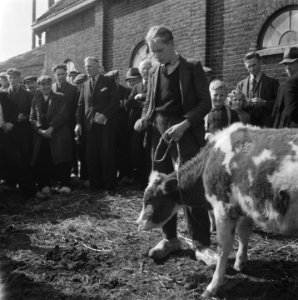 Boeldag 25 april 1946, Bestanddeelnr 901-6917
