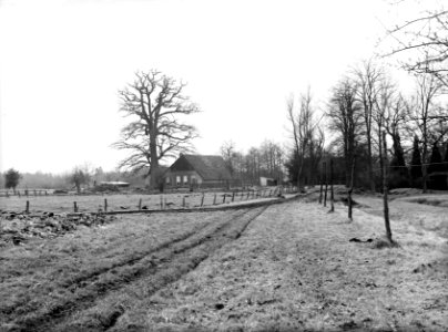 Boerderij Roerdink te Woold, Bestanddeelnr 160-1311