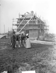 Boerin Visser uit Sonburg in Noordoostpolder met paarden, Bestanddeelnr 903-6328