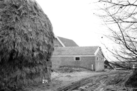 Boerderij te Zijpe (ruilverkaveling Zijpe- en Hazepolder), Bestanddeelnr 170-1535