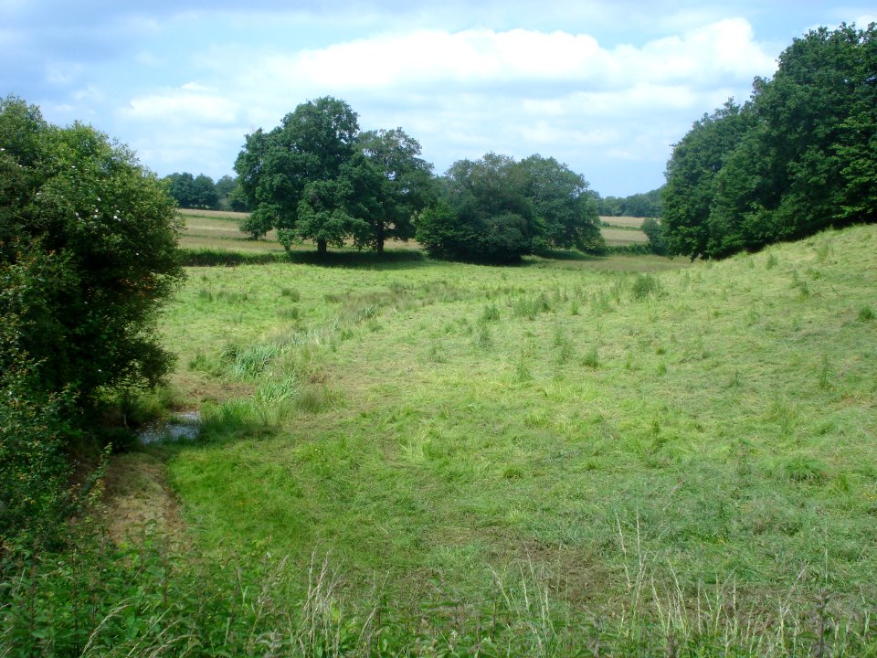 Boischaut Sud - Pommiers (36) - Prairie