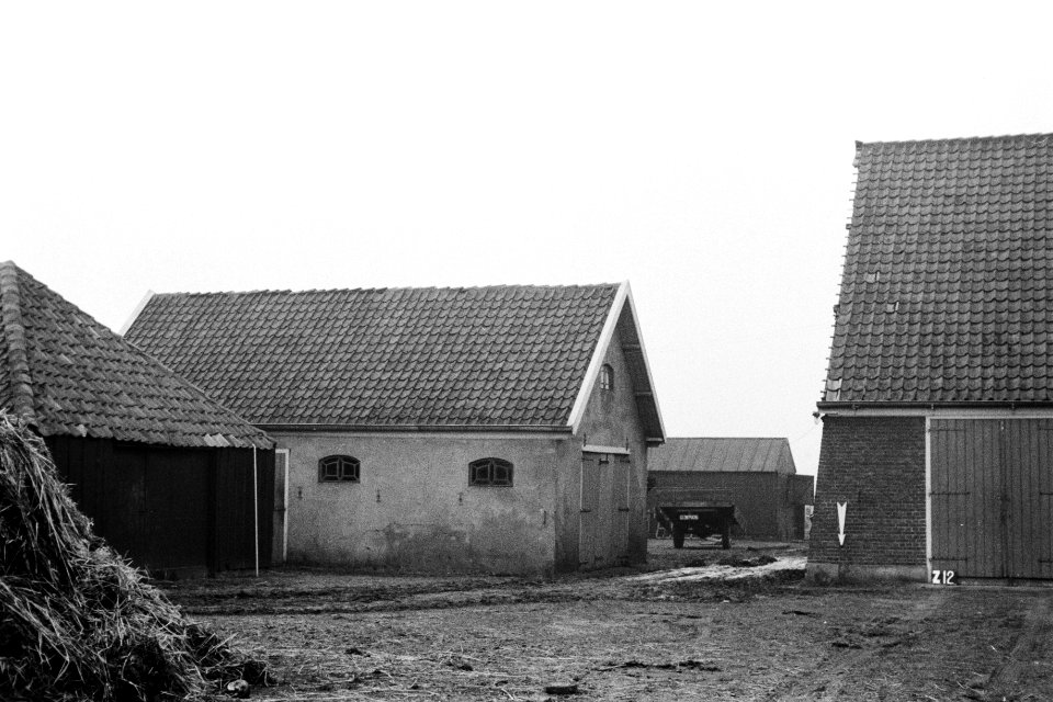 Boerderij te Zijpe (ruilverkaveling Zijpe- en Hazepolder), Bestanddeelnr 170-1529