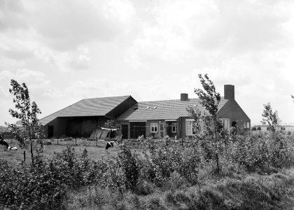 Boerderij van E Vink te Dreumel, Bestanddeelnr 163-0111