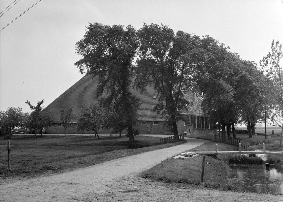 Boerderij van F Bouma te Nijhuizum (Friesland), Bestanddeelnr 163-0171