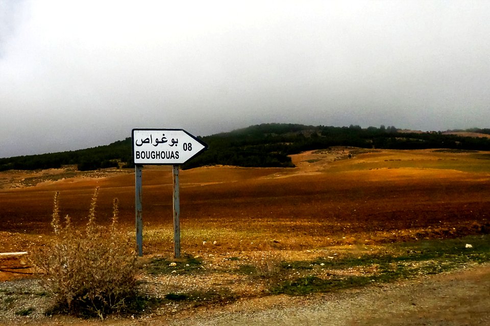 Boughouas بوغواص
