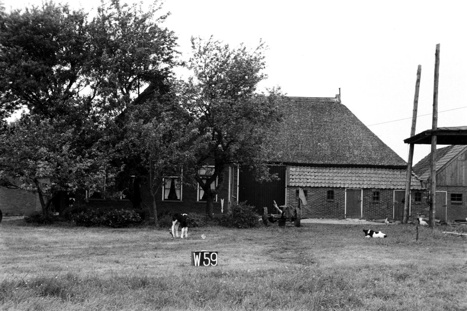 Boerderij (ruilverkaveling Linde-Zuid), Bestanddeelnr 170-2074