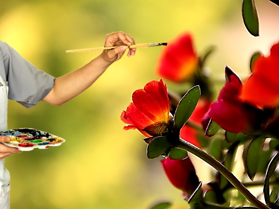 Brush flowers flower