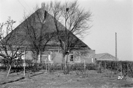 Boerderij te Zijpe (Ruilverkaveling Zijpe- en Hazepolder, Bestanddeelnr 170-1514