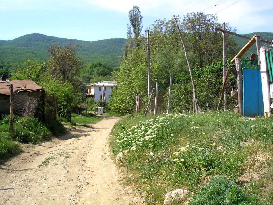 Bogatoe Uzshelye 1