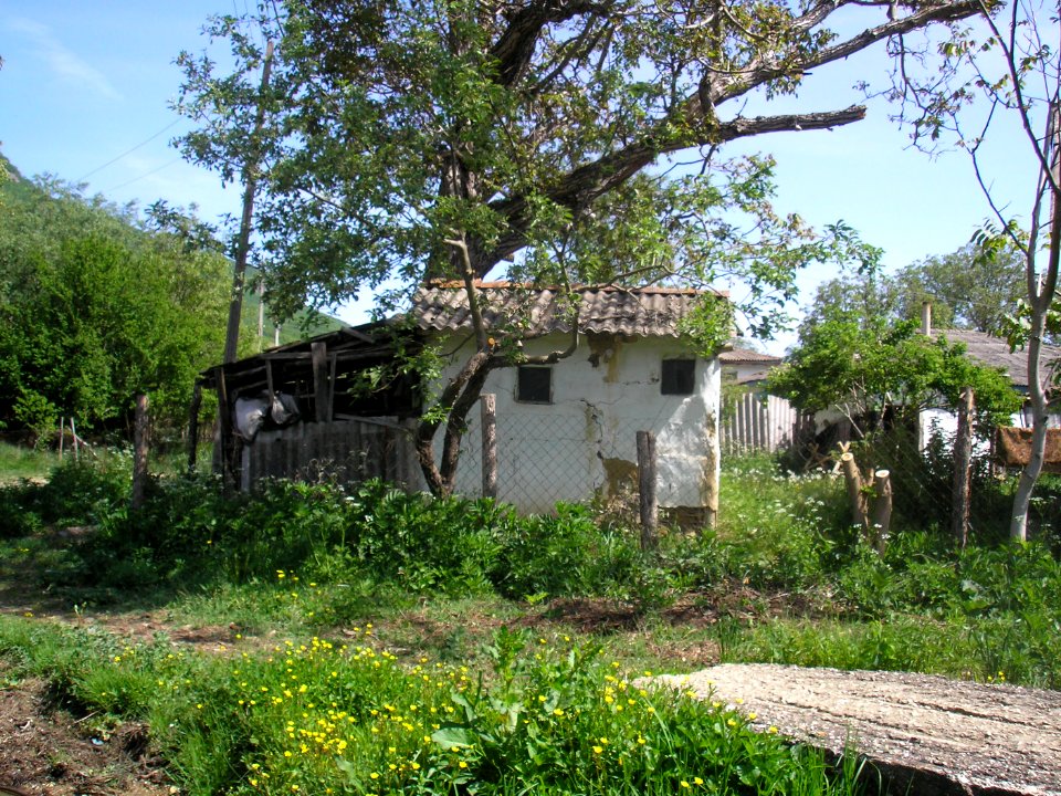 Bogatoe Uzshelye 8