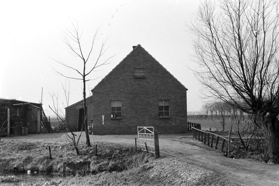 Boerderij te Buren (ruiverkaveling Maurikse Wetering), Bestanddeelnr 170-1848