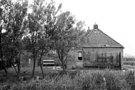 Boerderij ruilverkaveling Rinsumageest, Bestanddeelnr 170-2097