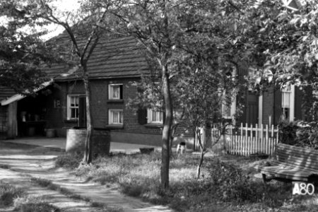 Boerderij te Aalten (ruilverkaveling Aalten), Bestanddeelnr 170-2042
