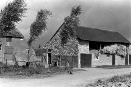 Boerderij en schuur bij Alphen (ruilverkaveling Land van Maas en Waal), Bestanddeelnr 170-2295
