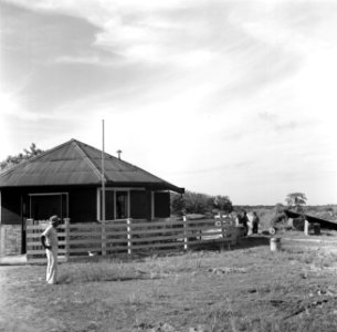 Boerderij in de polder van Nickerie, Bestanddeelnr 252-5561