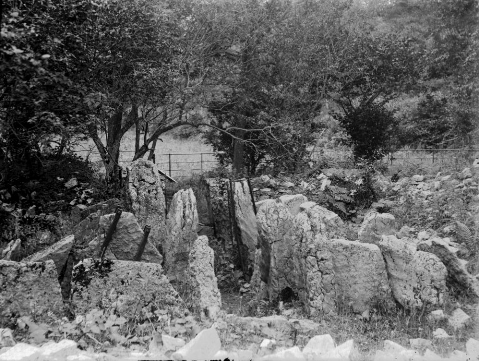 Boulders in a field (1294901)