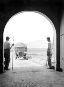 Boerderij in Korpúlfsstaðir. Een vrachtwagen met hooi rijdt via een helling de h, Bestanddeelnr 190-0382