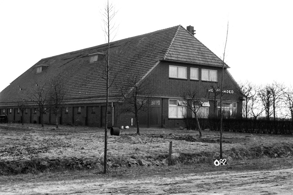 Boerderij Houdt-Moed te Alteveer ruilverkaveling Pomppolder, Bestanddeelnr 170-1959