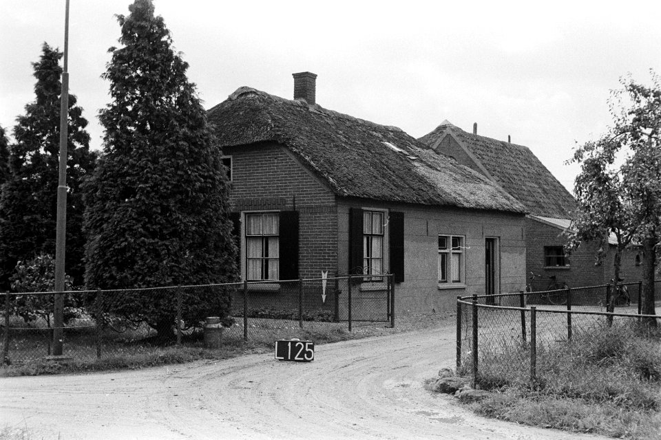 Boerderij bij Lienden (ruilverkaveling Land van Maas en Waal), Bestanddeelnr 170-2334