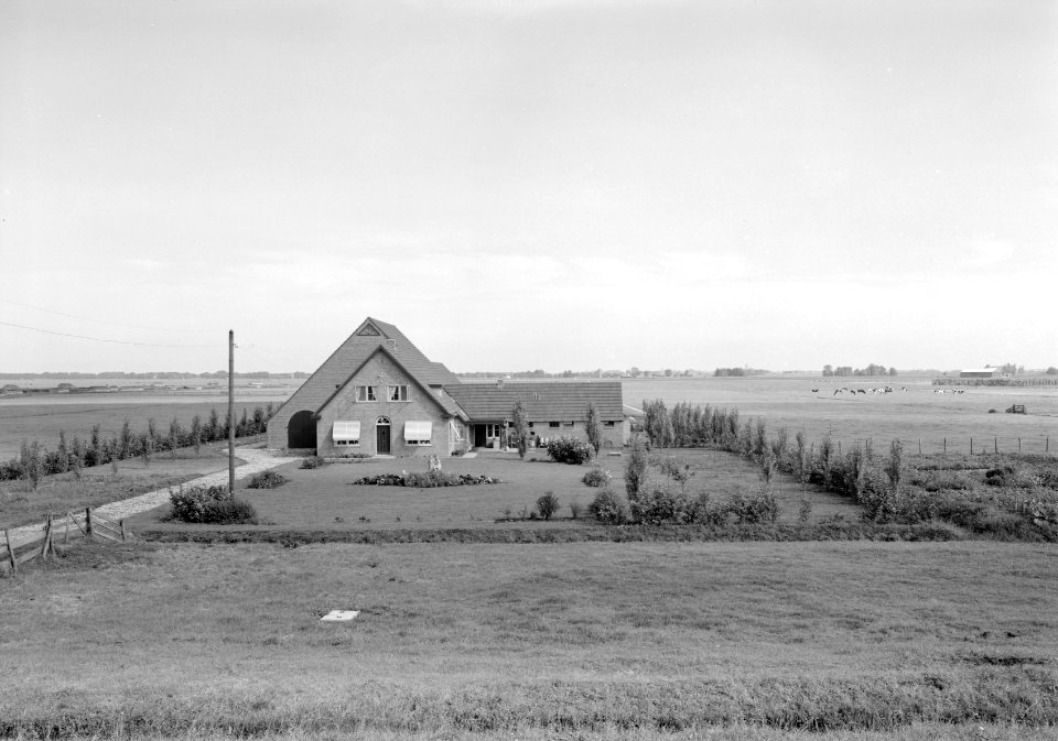 Boerderij in polder, Bestanddeelnr 160-1318A