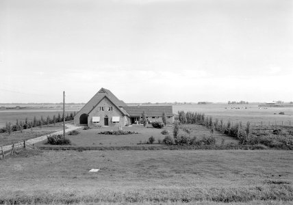 Boerderij in polder, Bestanddeelnr 160-1318A