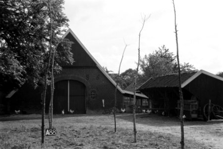 Boerderij te Aalten (ruilverkaveling Aalten), Bestanddeelnr 170-2038