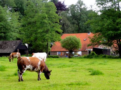 Boerderij Leuvenum