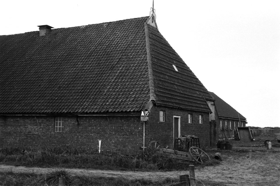 Boerderij aan de Nesserweg aan de oostzijde van het dorp Ballum (Ruiverkaveling , Bestanddeelnr 170-1720