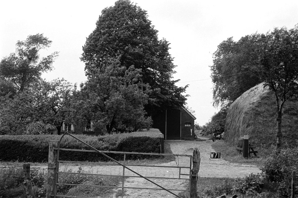 Boerderij (ruilverkaveling Linde-Zuid), Bestanddeelnr 170-2083