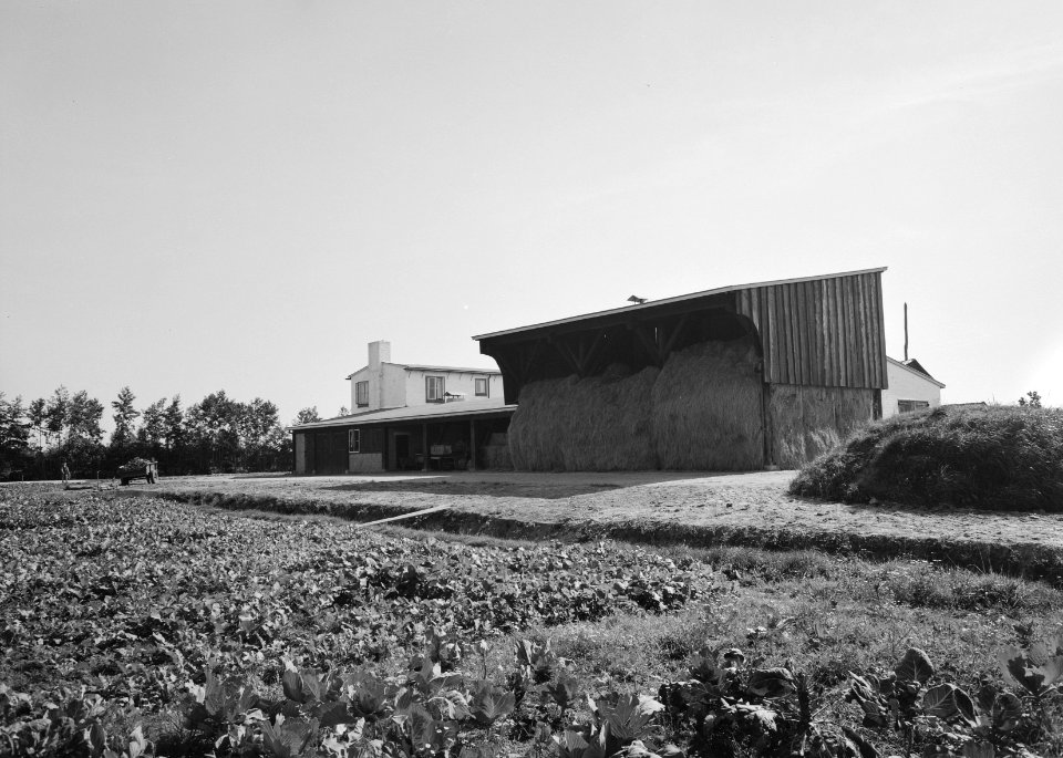 Boerderij De Lage Maat te Hoevelaken, Bestanddeelnr 163-0072