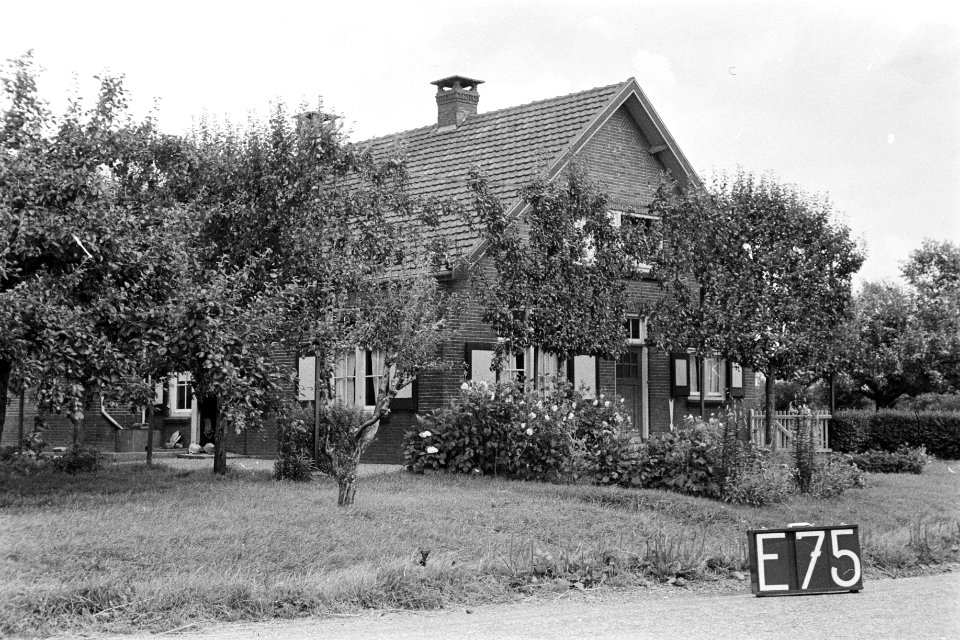 Boerderij (ruilverkaveling Maas en Waal), Bestanddeelnr 170-2338
