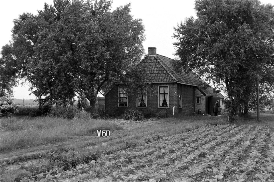 Boerderij (ruilverkaveling Linde-Zuid), Bestanddeelnr 170-2072