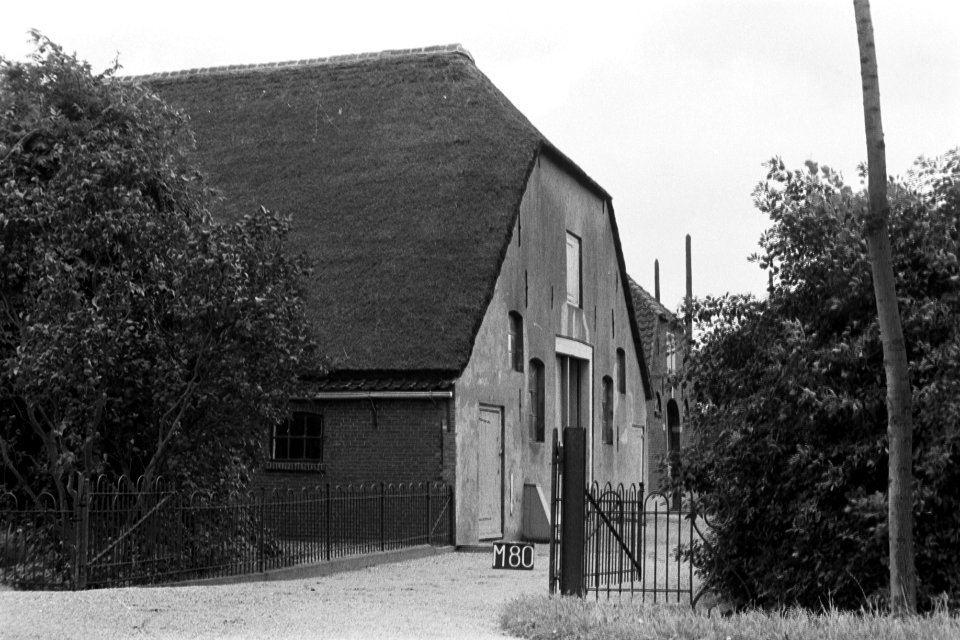 Boerderij bij Maasbommel (ruilverkaveling Land van Maas en Waal), Bestanddeelnr 170-2317