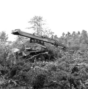 Bomen, machines, onttakken, Bestanddeelnr 164-1061