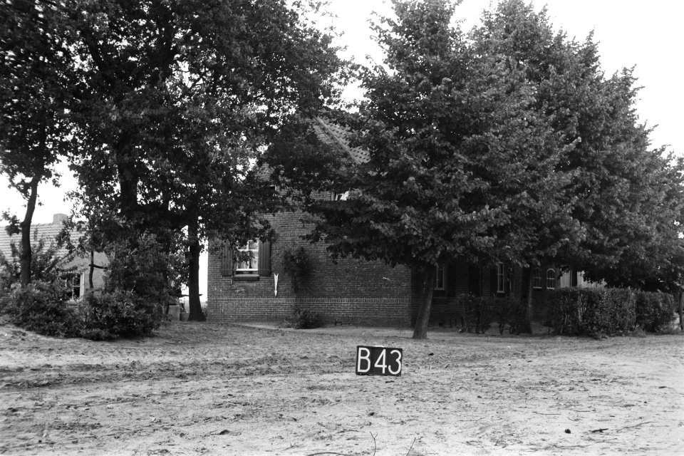 Boerderij te Bakel (ruilverkaveling Groote Peel), Bestanddeelnr 170-2186