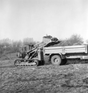 Bomen, machines, werktuigen, vrachtwagens, boomwortels, Bestanddeelnr 251-8699