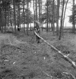 Bomen, zagen, werkzaamheden, Bestanddeelnr 169-0073