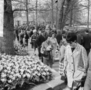 Bollenzondag, overzicht van de Keukenhof die een topdag had, Bestanddeelnr 916-3527