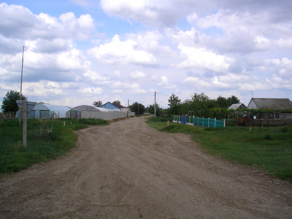 BolotnoeCr 6